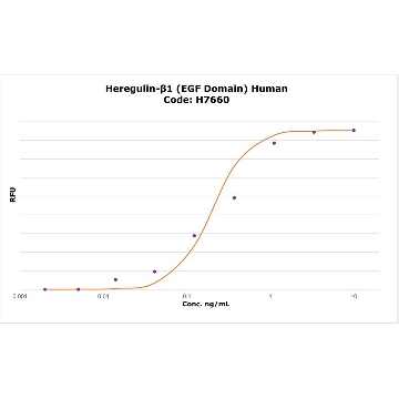 Heregulin-β1（EGF 结构域） 人，10UG，H7660-10UG，Sigma