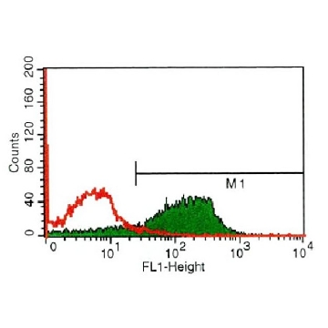 Anti-Endothelial Cell Protein C Receptor antibody, Rat monoclonal，200UL，E6280-200UL，Sigma
