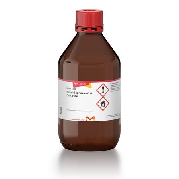 丁基琼脂糖™ 4 Fast Flow，50ML，B9041-50ML，Sigma