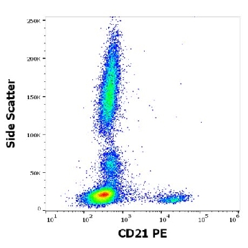 Monoclonal Anti-CD21-PE antibody produced in mouse，100TEST，SAB4700247-100TST，Sigma