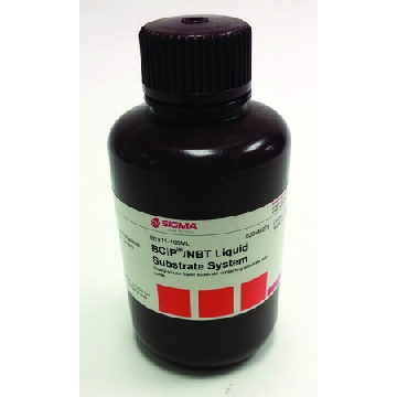 BCIP®/NBT液体底物系统，100ML，B1911-100ML，Sigma