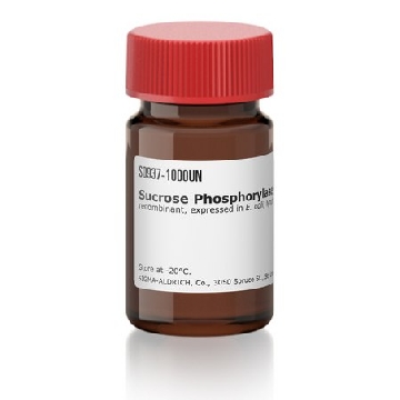 Sucrose Phosphorylase，250UNITS，S0937-250UN，Sigma