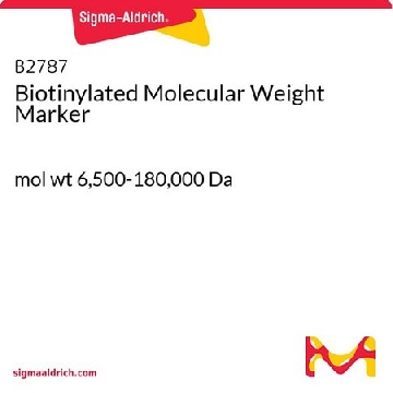 Biotinylated Molecular Weight Marker，1VIAL，B2787-1VL，Sigma