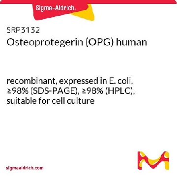 Osteoprotegerin (OPG) human，50UG，SRP3132-50UG，Sigma