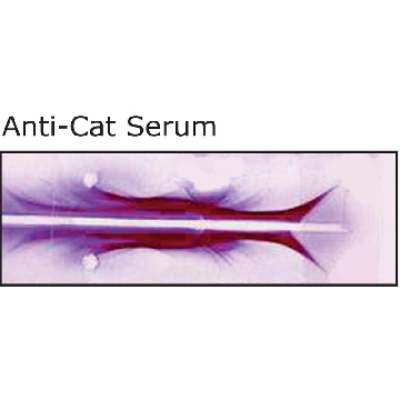 Anti-Cat Serum antibody produced in rabbit，2ML，C7415-2ML，Sigma