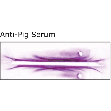 Anti-Pig Serum antibody produced in rabbit，2ML，P3164-2ML，Sigma