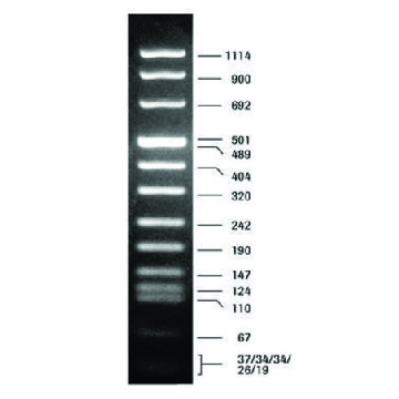 DNA 分子量标记 VIII，50UG，11336045001，Roche