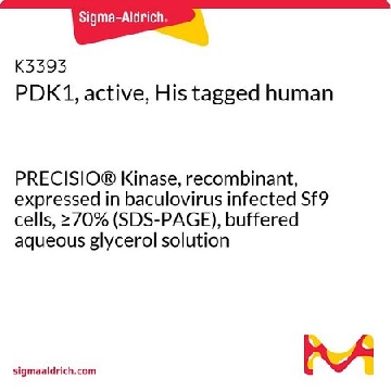 PDK1，活性，His 标记 人，10UG，K3393-10UG，Sigma