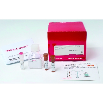 血管紧张素 I 转换酶（ACE）活性测试试剂盒（荧光），1KIT，CS0002-1KT，Sigma