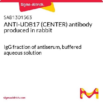 ANTI-UDB17 (CENTER) antibody produced in rabbit，400UL，SAB1301563-400UL，Sigma