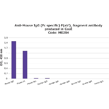 Anti-Mouse IgG (Fc specific) F(ab′)₂ fragment antibody produced in goat，0.5ML，M0284-.5ML，Sigma