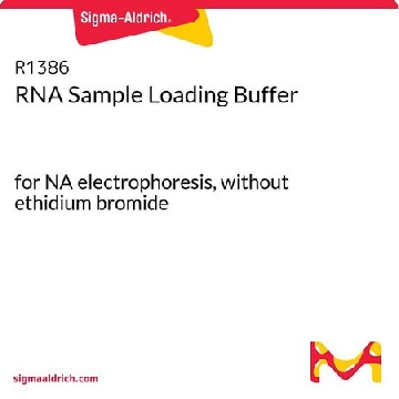 RNA 样品上样缓冲液，5VIALS，R1386-5VL，Sigma