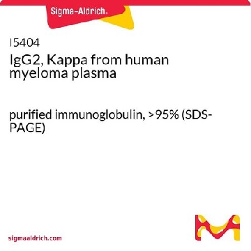 IgG2，κ 来源于人类骨髓瘤血浆，1MG，I5404-1MG，Sigma