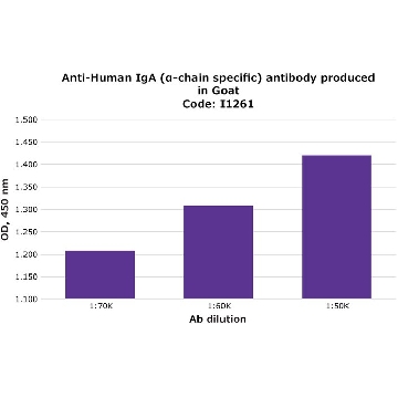 Anti-Human IgA (α-chain specific) antibody produced in goat，2ML，I1261-2ML，Sigma