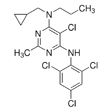 NBI 27914，10MG，N3911-10MG，Sigma
