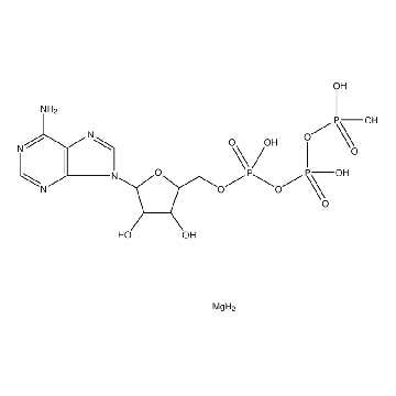 Adenosine 5′-triphosphate 镁盐，500MG，A9187-500MG，Sigma