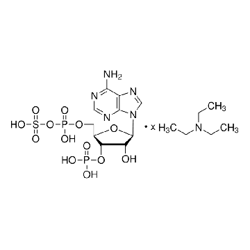 腺苷 3′-磷酸盐 5′-磷酸硫酸盐 三乙铵盐，5MG，94455-5MG，Sigma