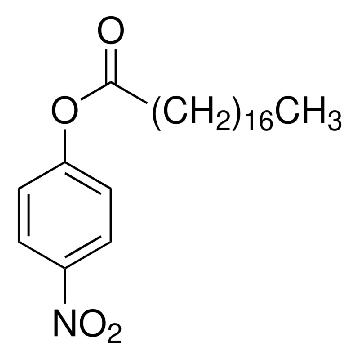4-Nitrophenyl stearate，1G，N3627-1G，Sigma
