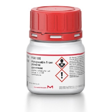 胰脂肪酶 来源于猪胰腺，100G，P3292-100G，Sigma