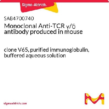 Monoclonal Anti-TCR γ/δ antibody produced in mouse，100UG，SAB4700740-100UG，Sigma