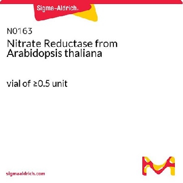 Nitrate Reductase from Arabidopsis thaliana，1VIAL，N0163-1VL，Sigma