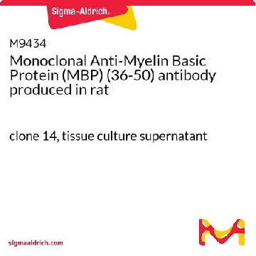 Monoclonal Anti-Myelin Basic Protein (MBP) (36-50) antibody produced in rat，2ML，M9434-2ML，Sigma