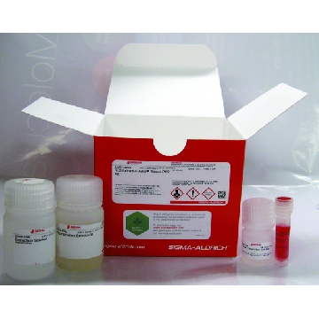 REDExtract-N-Amp™ 组织PCR试剂盒，10REACTIONS，XNAT-10RXN，Sigma