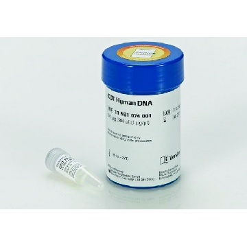 COT人源DNA，500UG，11581074001，Roche