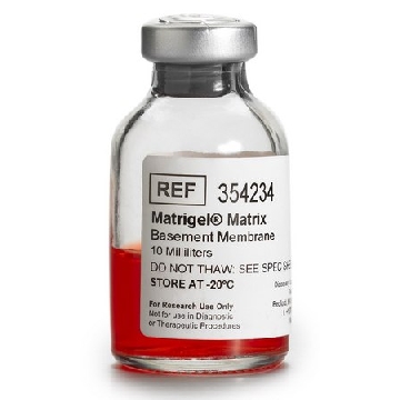 Corning® Matrigel® 基底膜基质，1EACH，CLS354234-1EA，Sigma