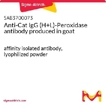Anti-Cat IgG (H+L)-Peroxidase antibody produced in goat，2MG，SAB3700073-2MG，Sigma