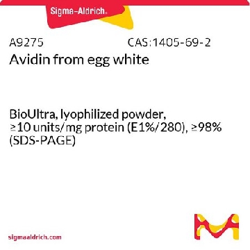 亲和素 来源于鸡蛋白，2MG，A9275-2MG，Sigma