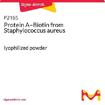 蛋白A-生物素 来源于金黄色葡萄球菌，2MG，P2165-2MG，Sigma