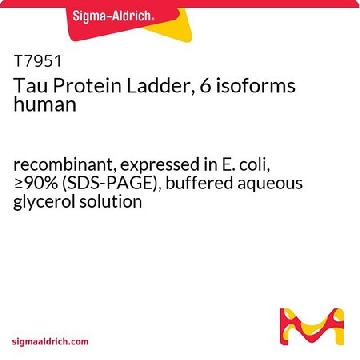 Tau 蛋白阶梯，6 种亚型，50UL，T7951-50UL，Sigma