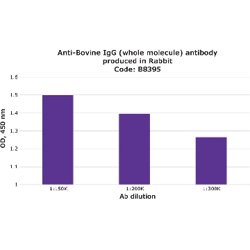 Anti-Bovine IgG (whole molecule) antibody produced in rabbit，2ML，B8395-2ML，Sigma