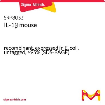IL-1β 小鼠，10UG，SRP8033-10UG，Sigma
