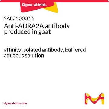 Anti-ADRA2A antibody produced in goat，100UG，SAB2500033-100UG，Sigma