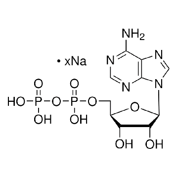 腺苷-5′-二磷酸 钠盐，5X1G，A2754-5X1G，Sigma
