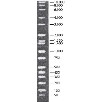 DirectLoad™ 宽分子量 DNA 标准，1VIAL，D7058-1VL，Sigma