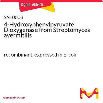 4-Hydroxyphenylpyruvate Dioxygenase from Streptomyces avermitilis，1MG，SAE0003-1MG，Sigma