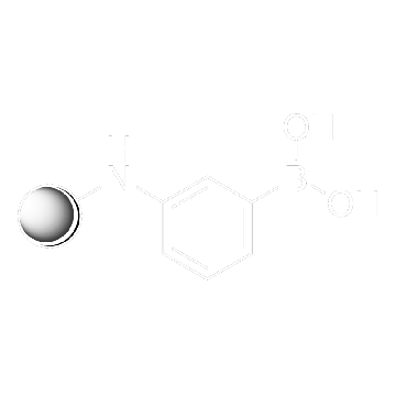m-氨基苯基硼酸-琼脂糖，5ML，A8530-5ML，Sigma