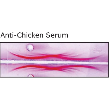 Anti-Chicken Serum antibody produced in rabbit，2ML，C1036-2ML，Sigma