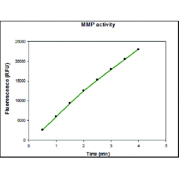 MMP-9 预活化人，50UG，SAE0078-50UG，Sigma