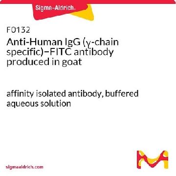 Anti-Human IgG (γ-chain specific)−FITC antibody produced in goat，0.5ML，F0132-.5ML，Sigma