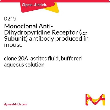 Monoclonal Anti-Dihydropyridine Receptor (α₂ Subunit) antibody produced in mouse，100UL，D219-100UL，Sigma