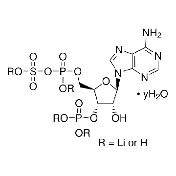 腺苷 3′-磷酸 5′-磷酰硫酸 锂盐 水合物，5MG，A1651-5MG，Sigma