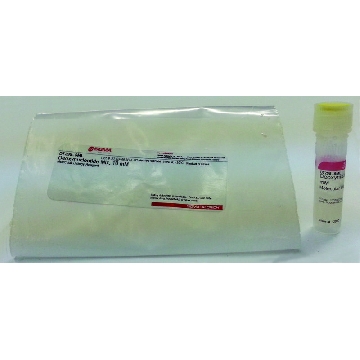 Deoxynucleotide Mix, 10 mM，20X0.2ML，D7295-20X.2ML，Sigma