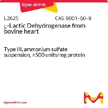ʟ-乳酸脱氢酶 来源于牛心脏，50000UNITS，L2625-50KU，Sigma