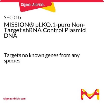 MISSION® pLKO.1-puro 非靶 shRNA 对照质粒DNA，1EA，SHC016-1EA，Sigma