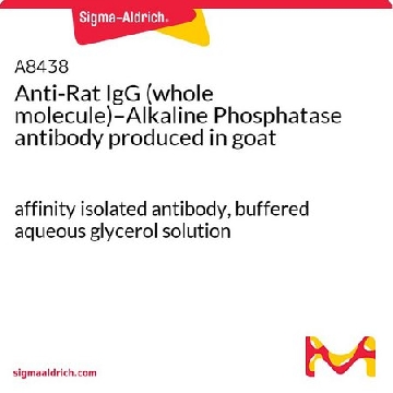 Anti-Rat IgG (whole molecule)–Alkaline Phosphatase antibody produced in goat，0.25ML，A8438-.25ML，Sigma