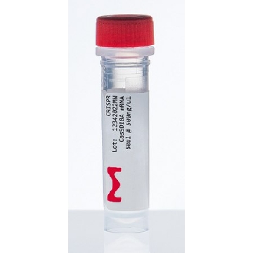 CRISPR Cas9-D10A切口酶mRNA，1EA，CAS9D10AMRNA-1EA，Sigma